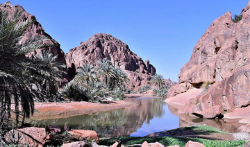 Photo/Saudi Press Agency