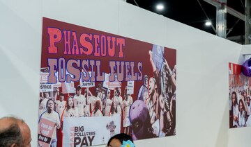 COP29 leaders push for faster climate action in second week