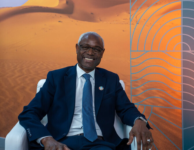 Vision 2030 can inspire global solutions to land degradation, energy crisis