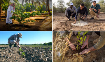 How Saudi Arabia is tackling soil pollution to protect the environment and human health
