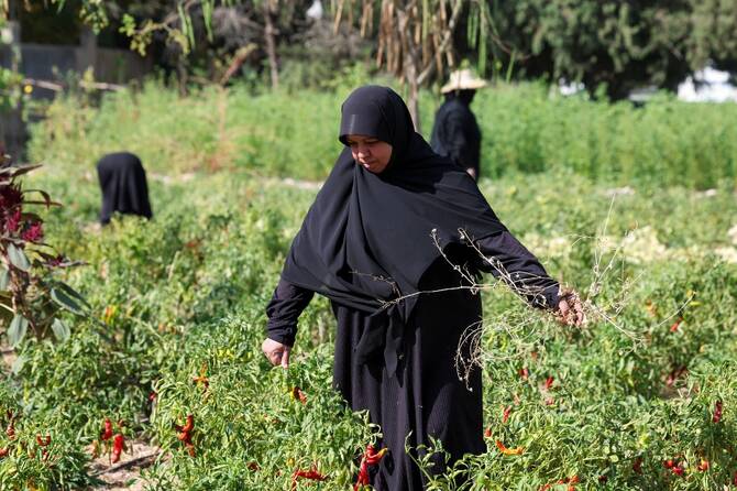 Nearly a year after truce, women in south Lebanon say war never ended