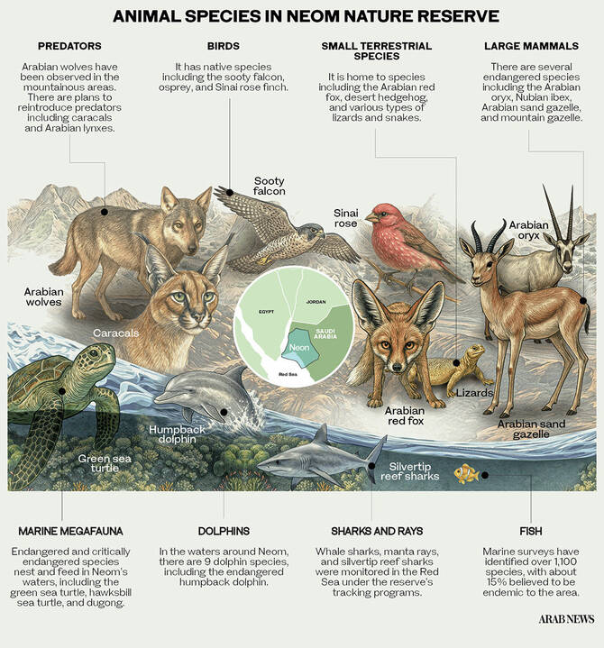 How Neom Nature Reserve is shaping the Kingdom’s biodiversity and ecological restoration strategy