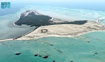 Asir’s coastline: Promising ecotourism hub on the Red Sea