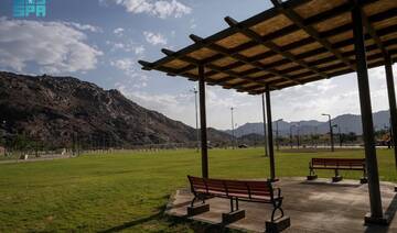 Najran expands green spaces with new trees