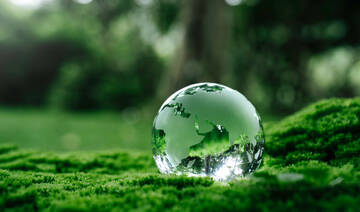 A blueprint for a balanced green future