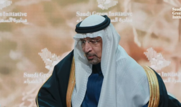 Saudi Arabia, France to collaborate on 3 renewable energy projects: Al-Falih